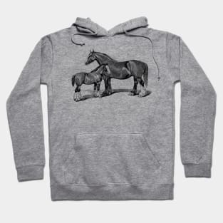 Shire Mare and Foal Black and White Horse Illustration Hoodie